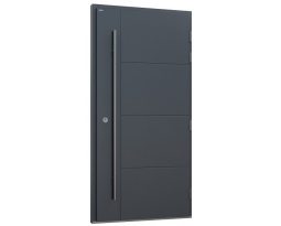 Drzwi Basic 16B | Drzwi Basic Glass E, Producent drzwi zewnętrznych, okien, stolarki drewnianej