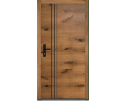 Drzwi Basic 16D | Projekt RAL DESIGN, Drzwi Drewniane Zewnętrzne - Parmax®