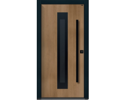 Drzwi Basic Glass E | Projekt RAL DESIGN, Drzwi Drewniane Zewnętrzne - Parmax®